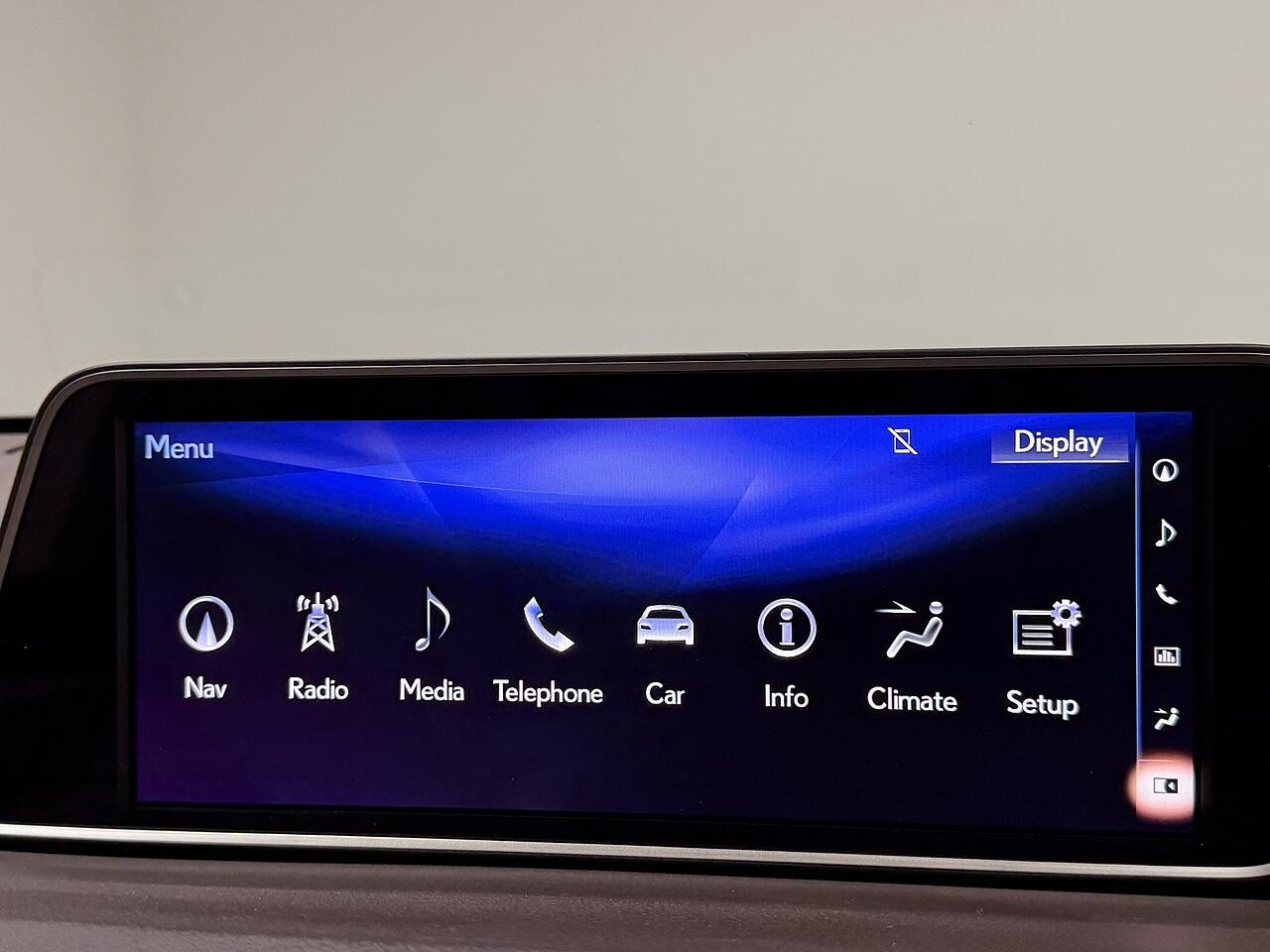 Lexus RX view 29