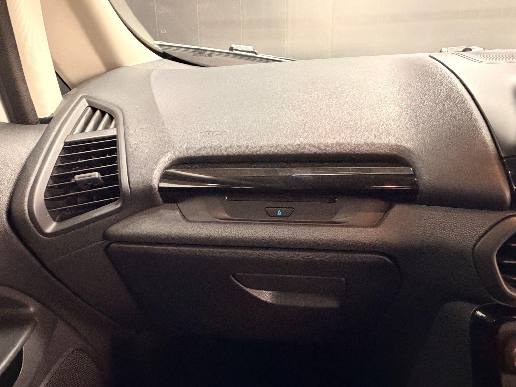 Ford Ecosport view 19