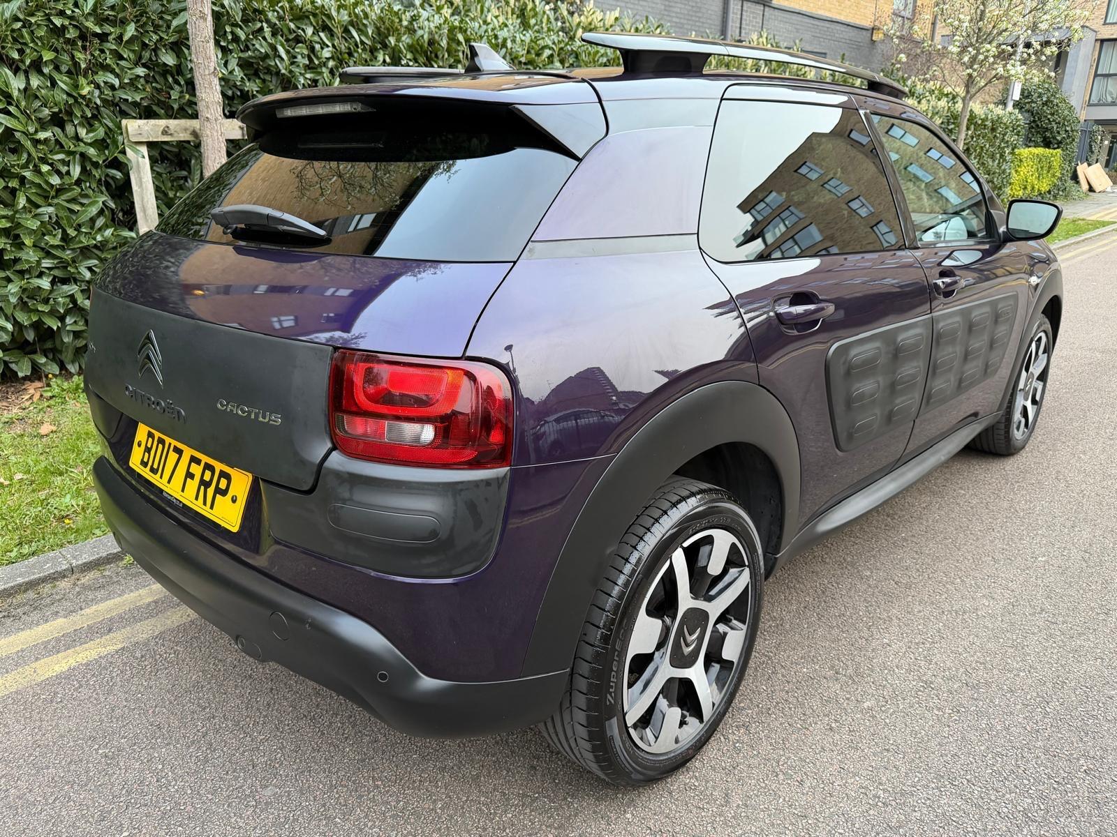 Citroen C4 Cactus view 10
