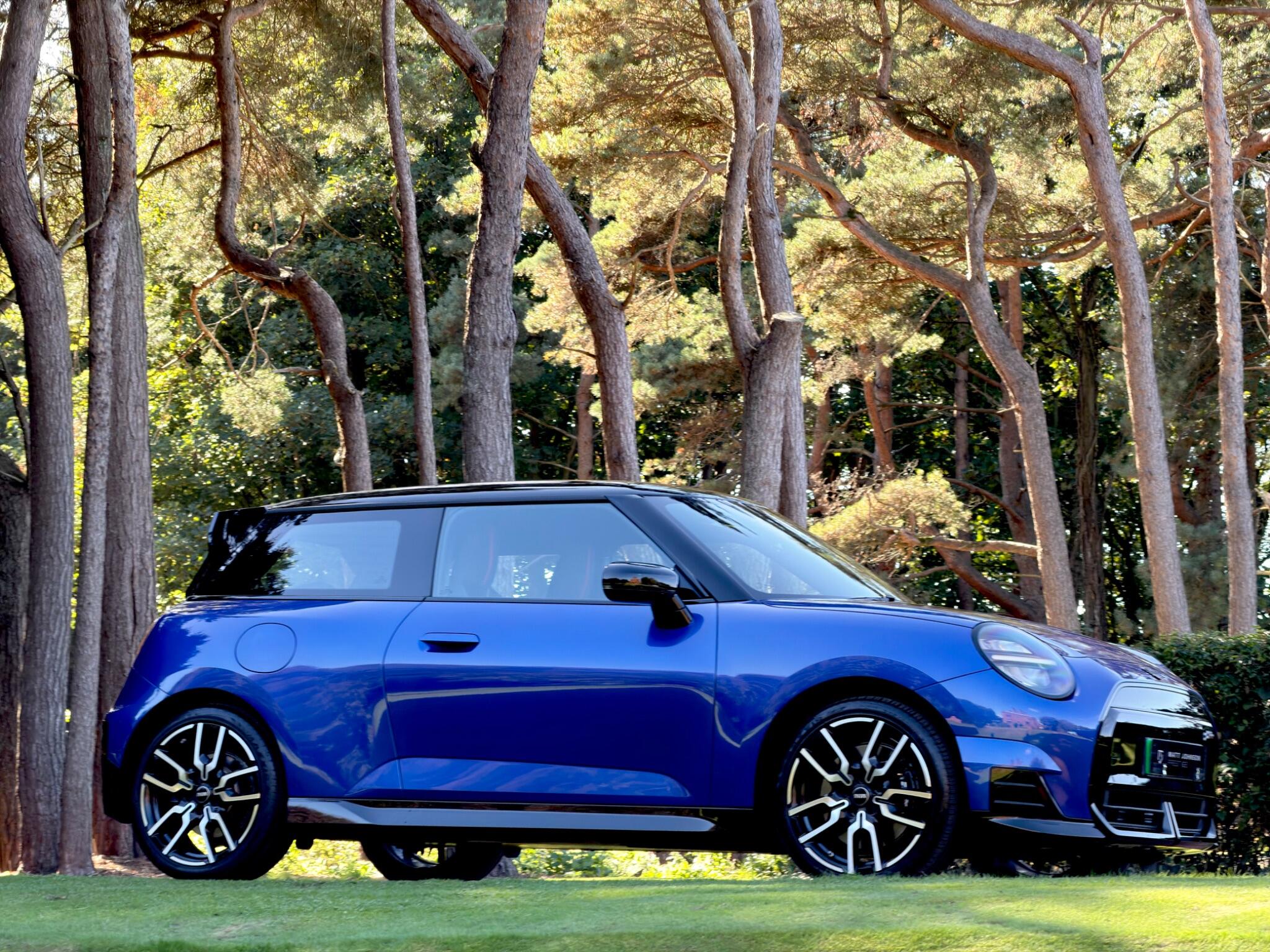 Mini Hatch view 12