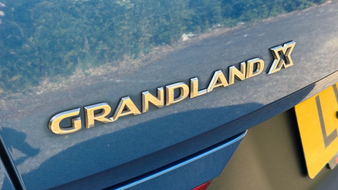 Vauxhall Grandland X view 41
