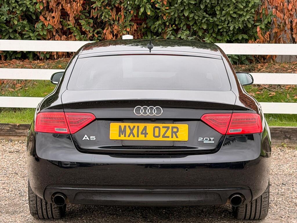 2014 Audi A5 thumbnail 13