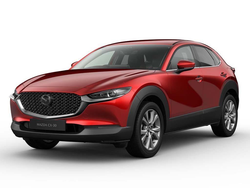 Mazda CX-30 SUV 2.5 e-SKYACTIV G MHEV Takumi Euro 6 (s/s) 5dr