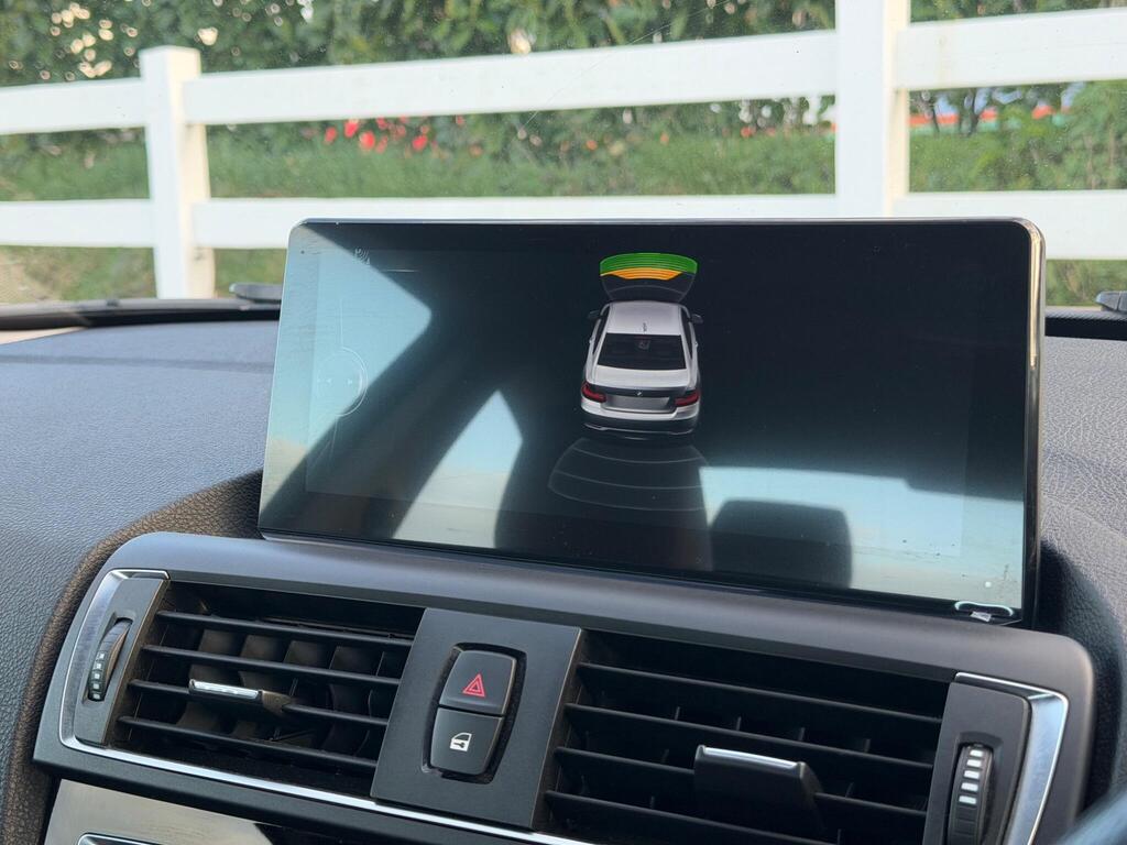 2015 BMW 2 Series thumbnail 19