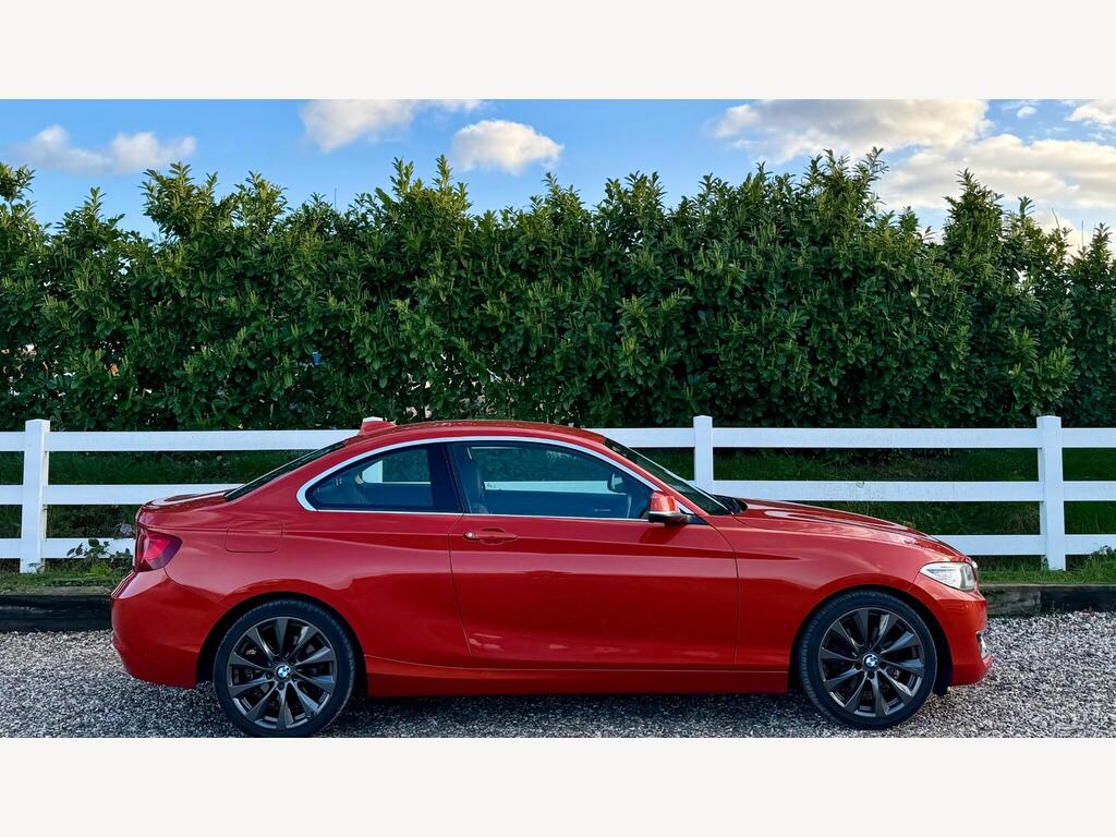 2015 BMW 2 Series thumbnail 11
