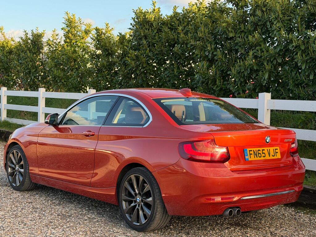 2015 BMW 2 Series thumbnail 5