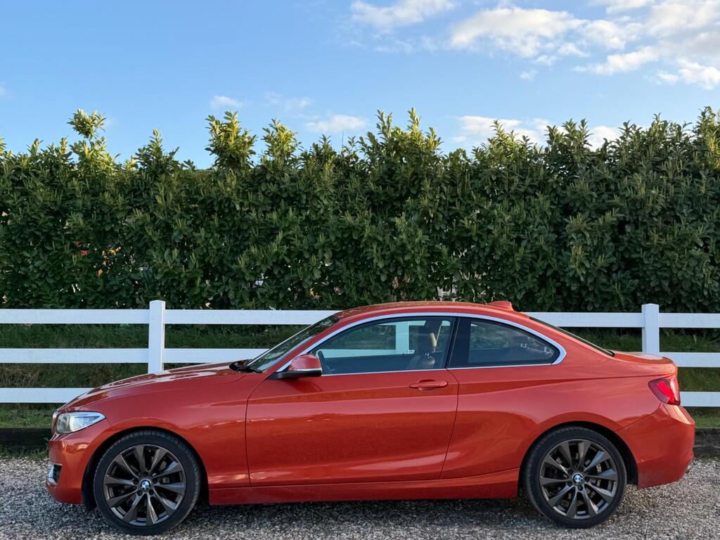 2015 BMW 2 Series thumbnail 9