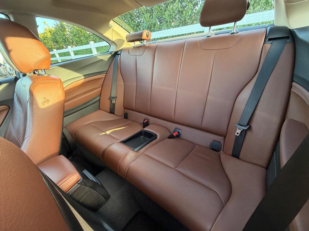 2015 BMW 2 Series thumbnail 15