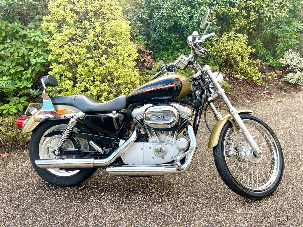 Harley-Davidson Sportster Custom Cruiser XL883-C Sportster