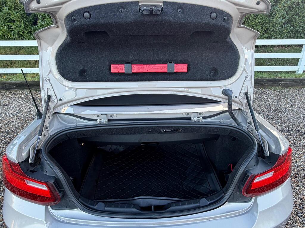 2015 BMW 2 Series thumbnail 31