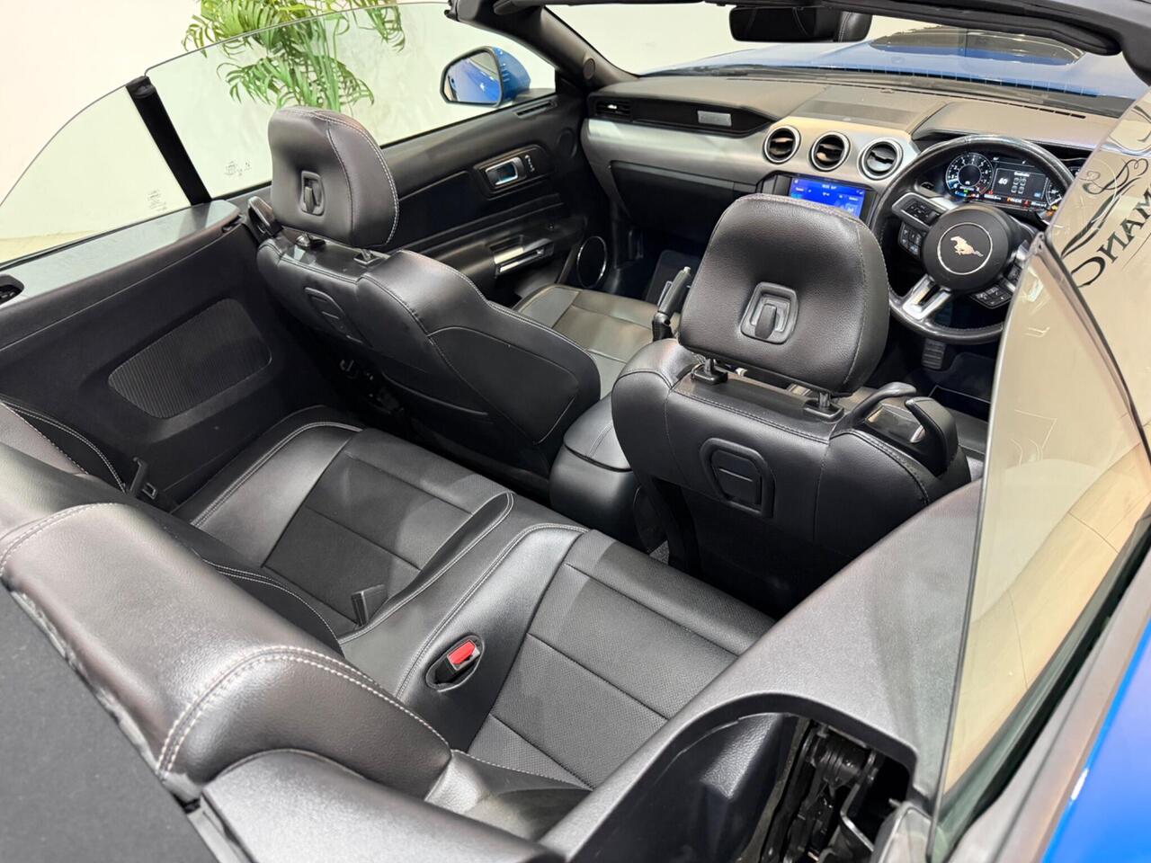 Ford Mustang — photo 22