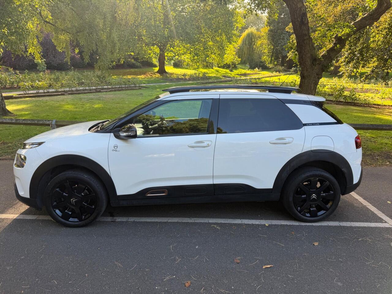 Citroen C4 Cactus — photo 7