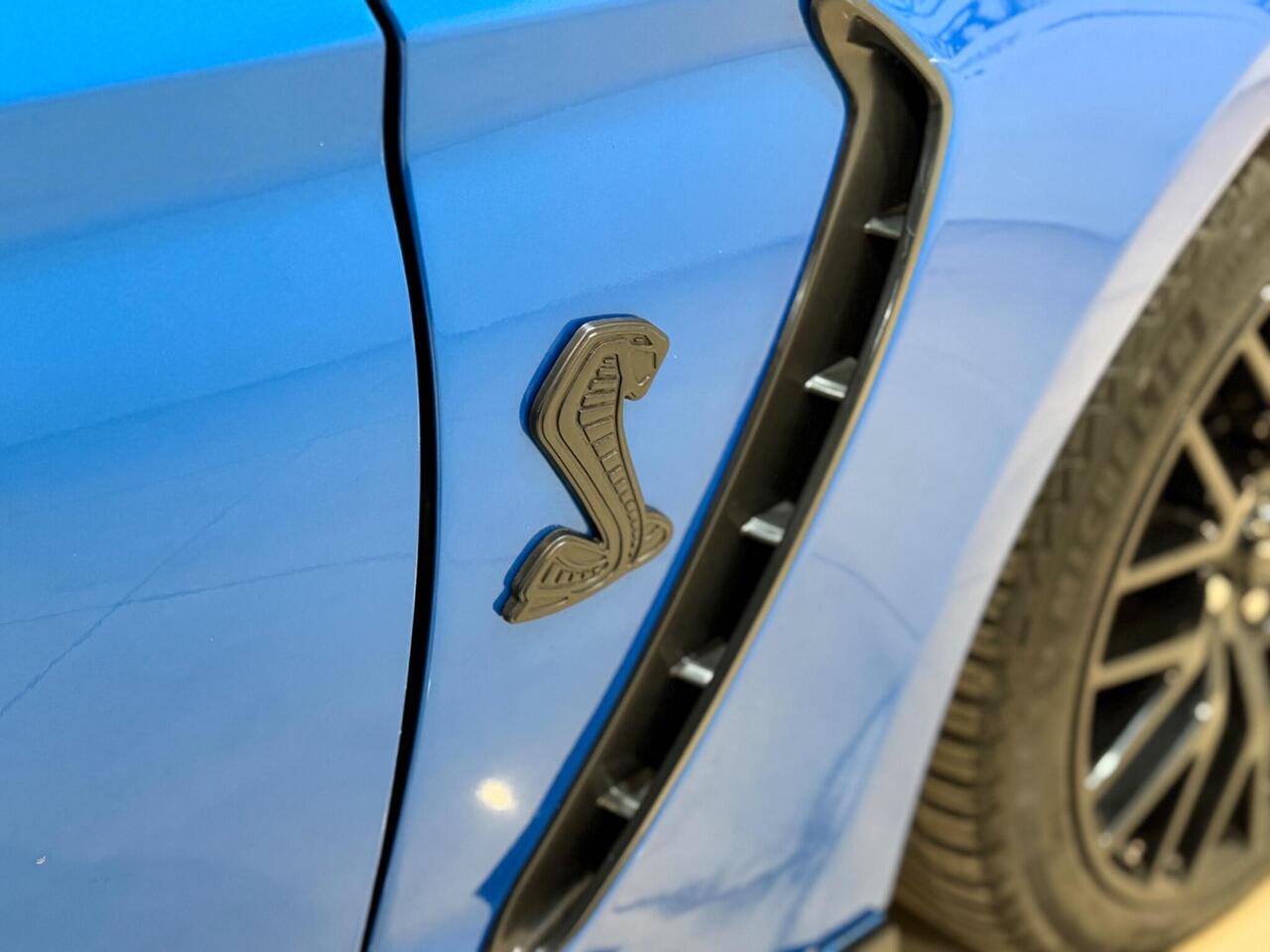 Ford Mustang — photo 24