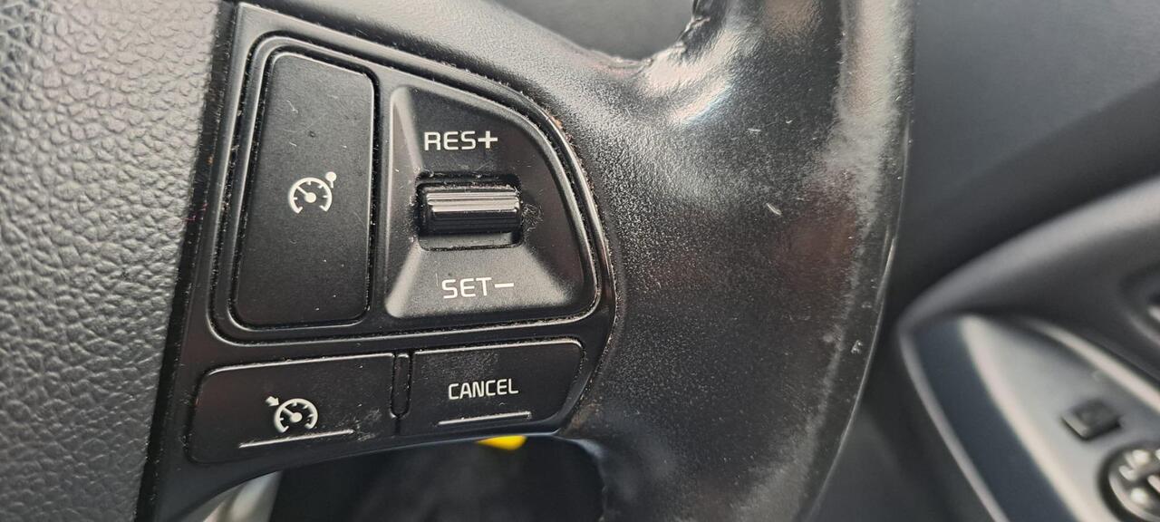 Kia Rio — photo 15