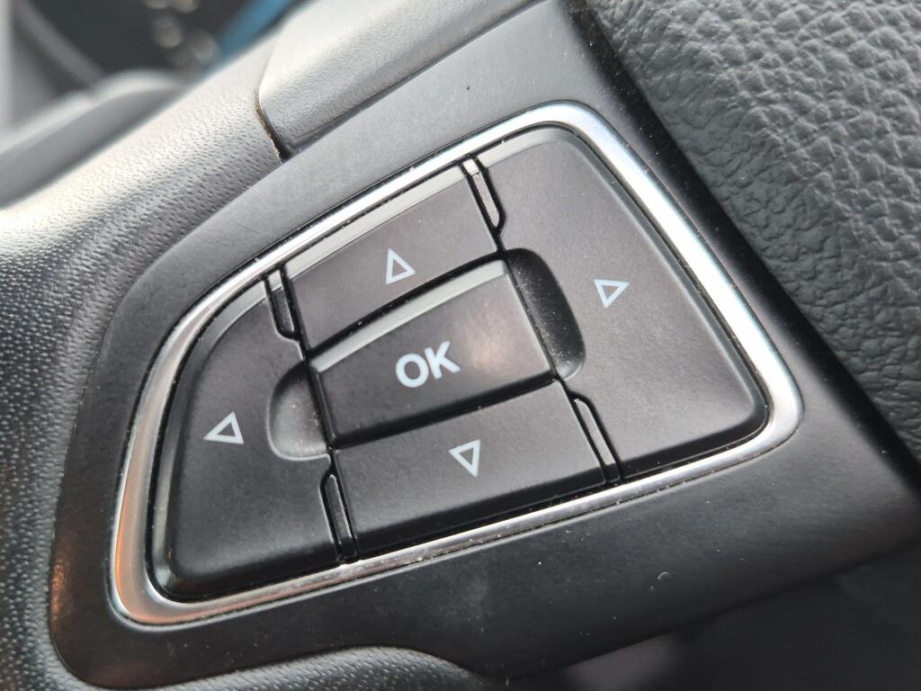 Ford C-Max 20