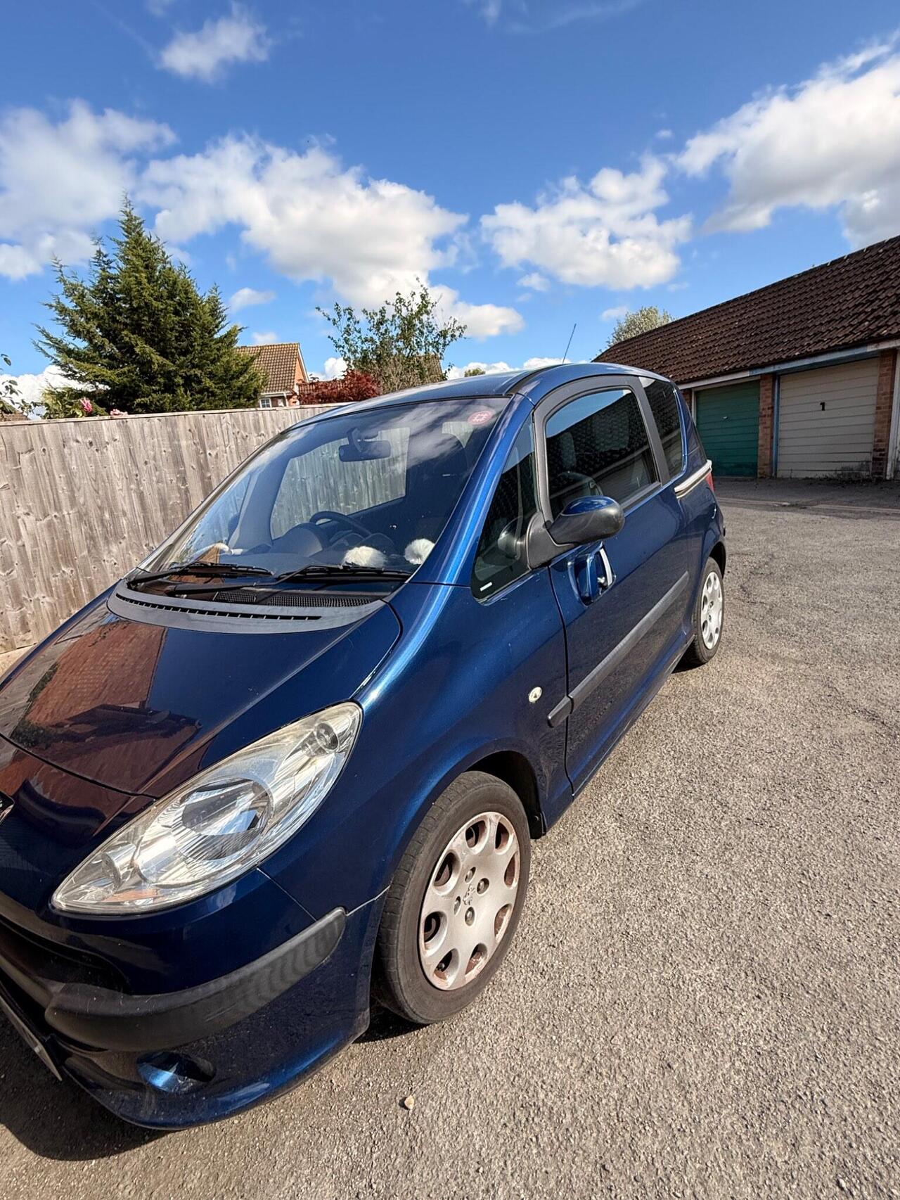 Peugeot 1007 2006 photo 5