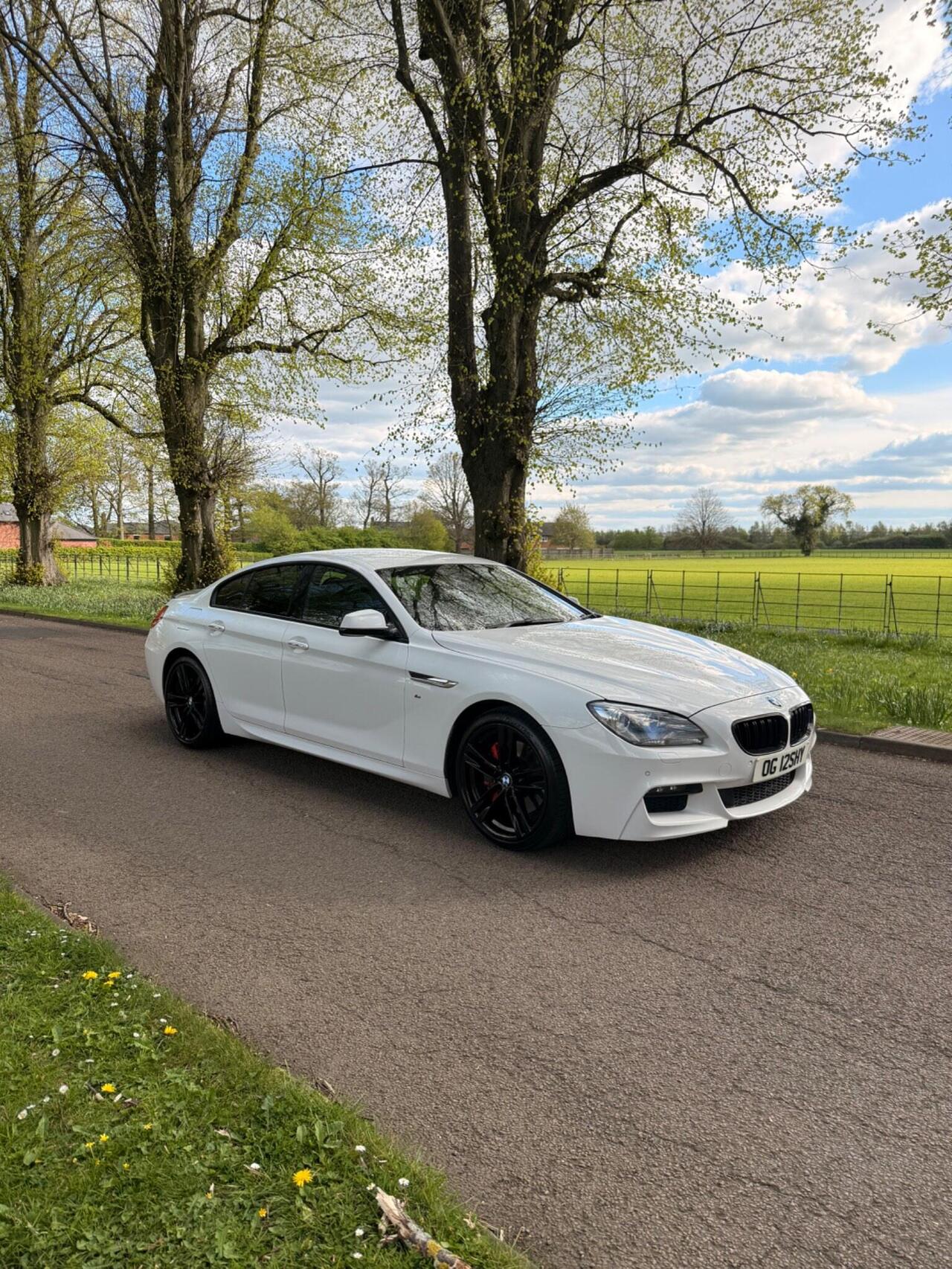 BMW 6 Series Gran Coupe 2013 photo 3