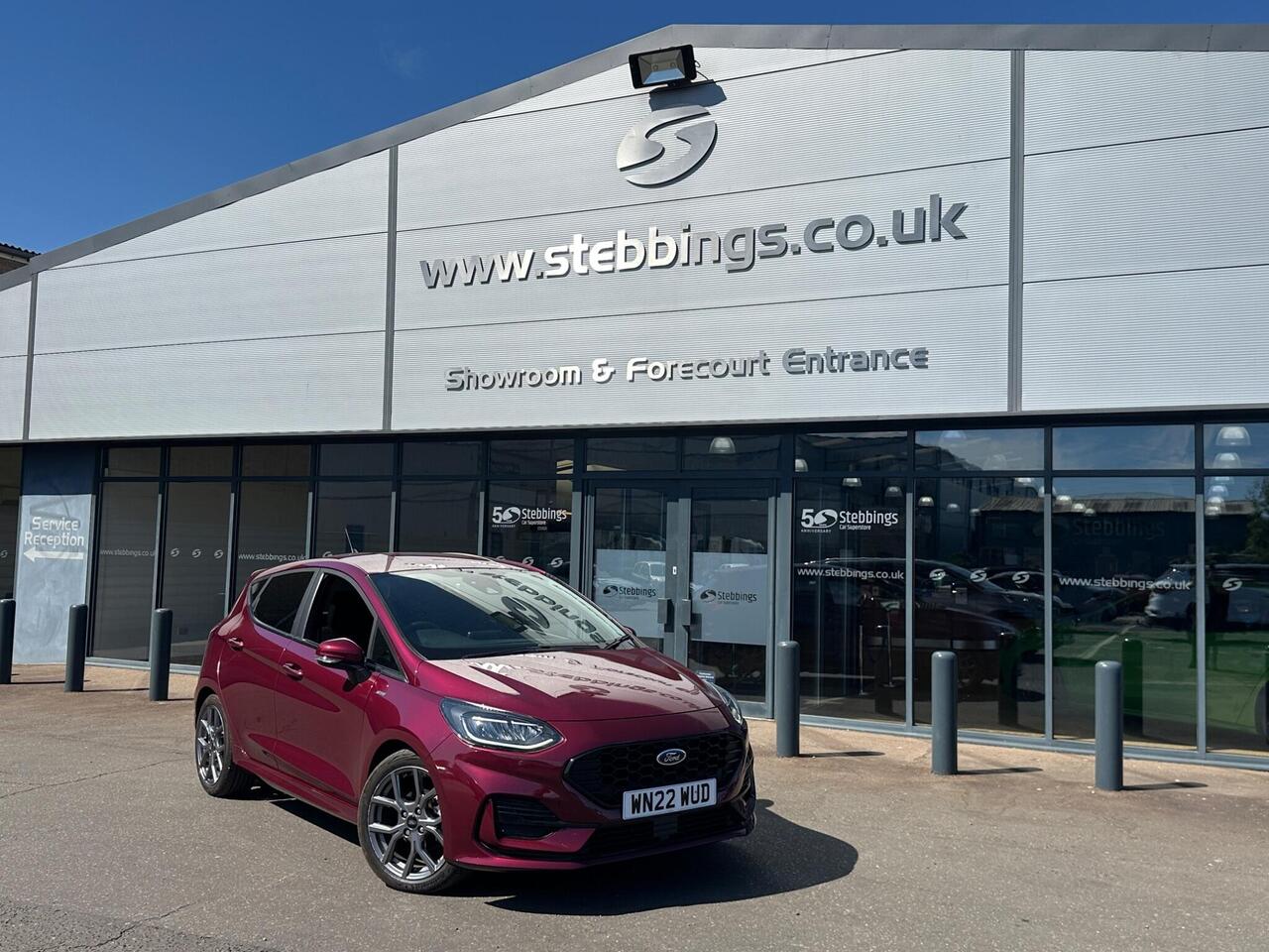 Ford Fiesta WN22WUD
