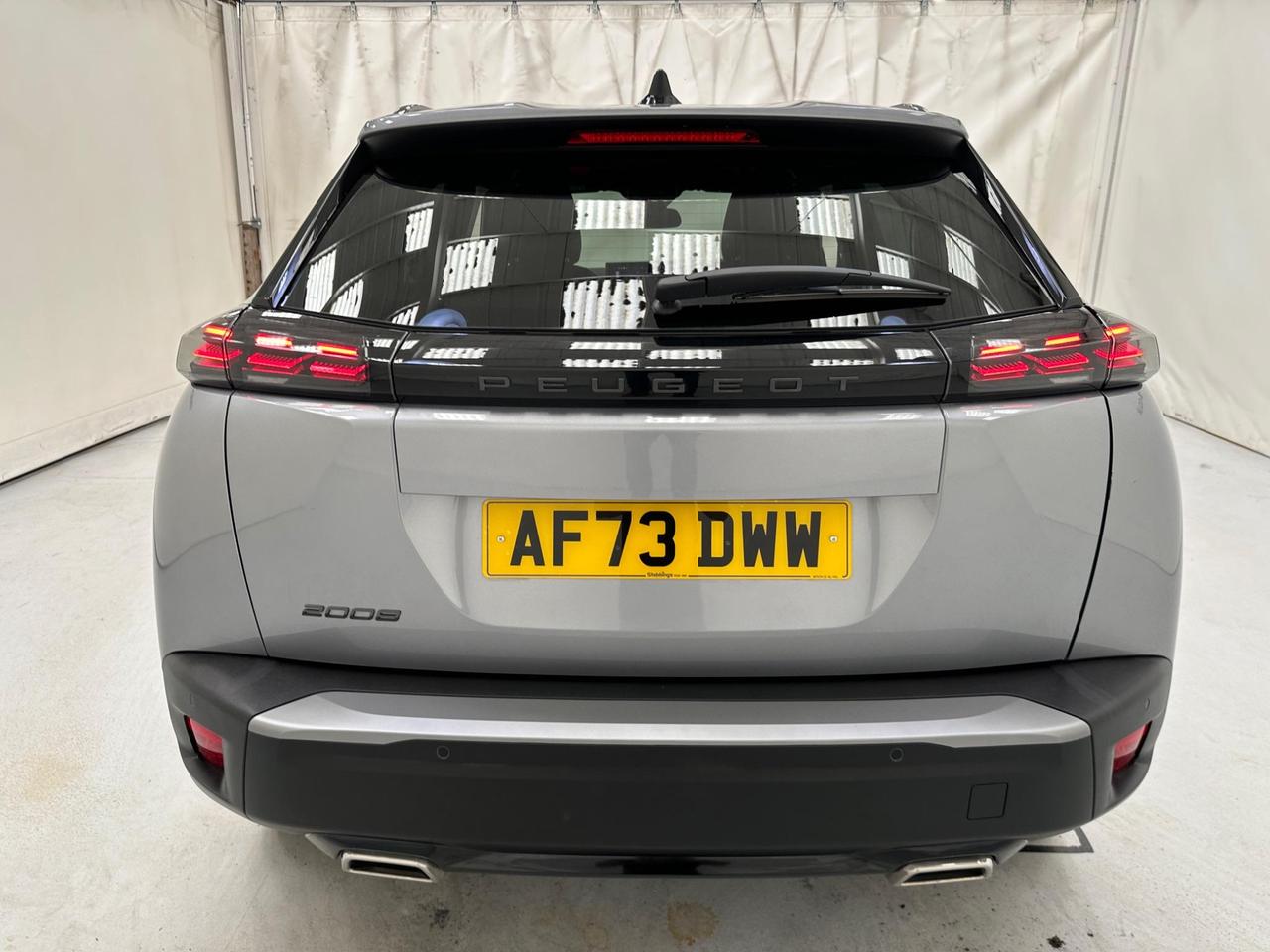 Peugeot 2008 AF73DWW