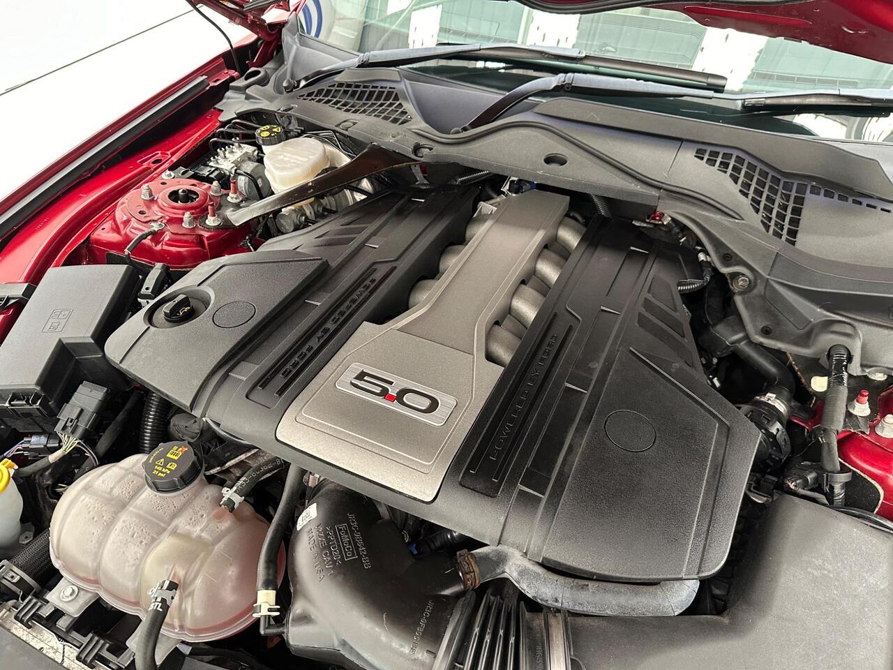 Ford Mustang HK69FGO