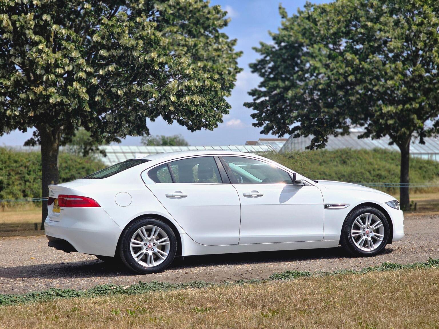 2016 Jaguar XE image 4