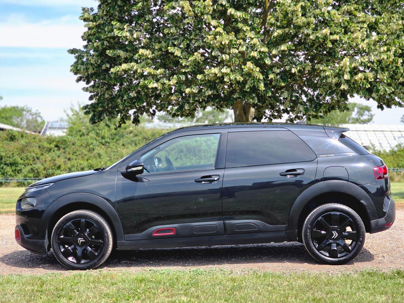 2019 Citroen C4 Cactus image 13
