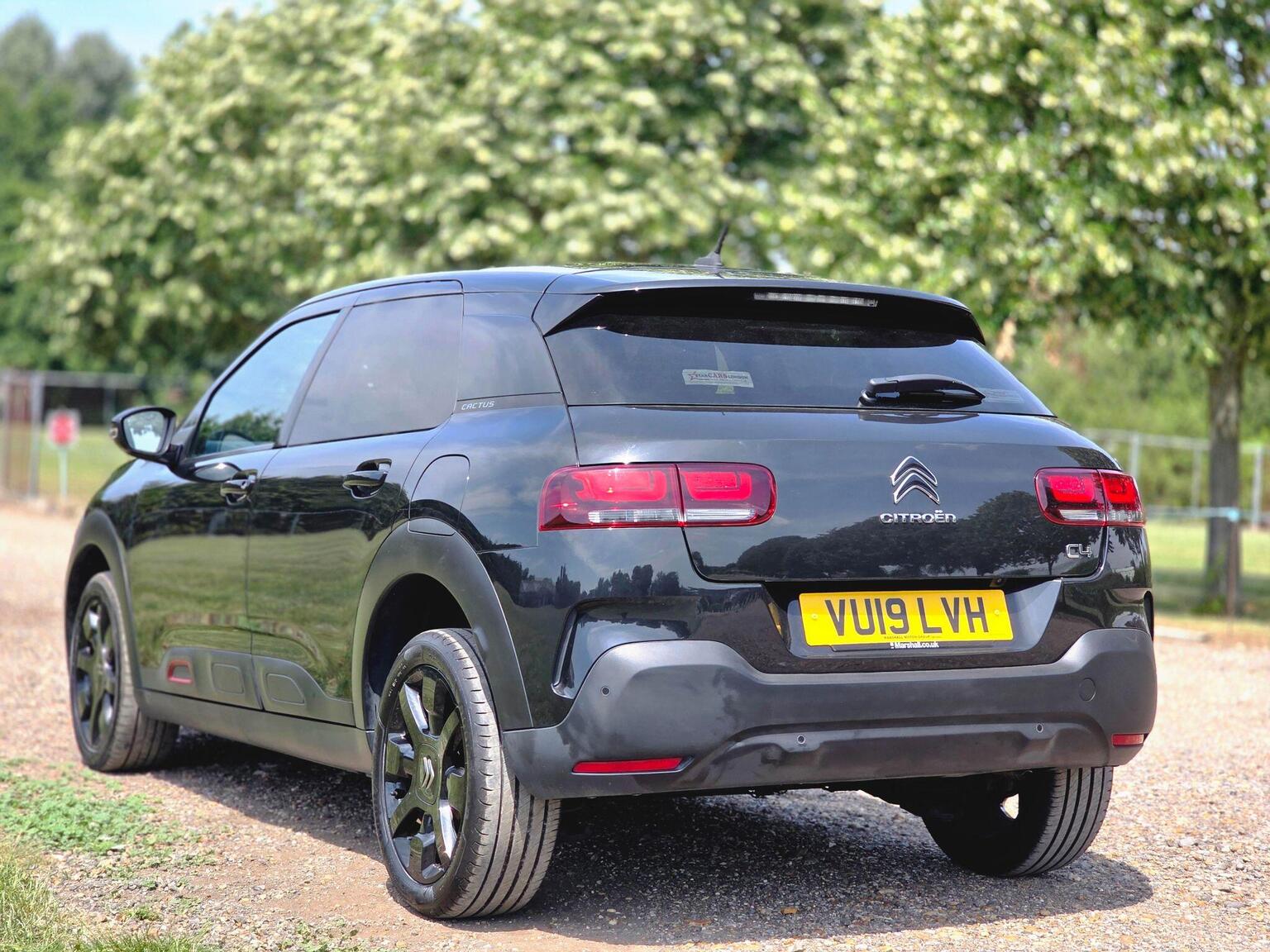 2019 Citroen C4 Cactus image 9