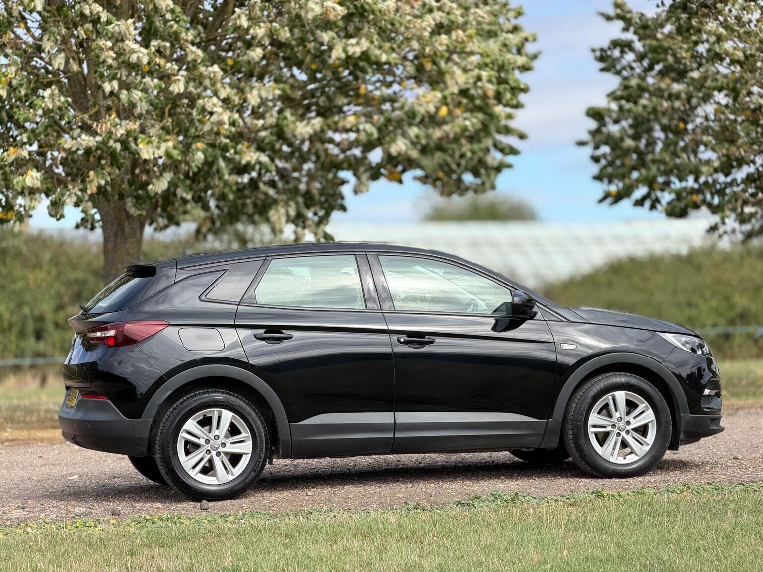 2020 Vauxhall Grandland X image 4