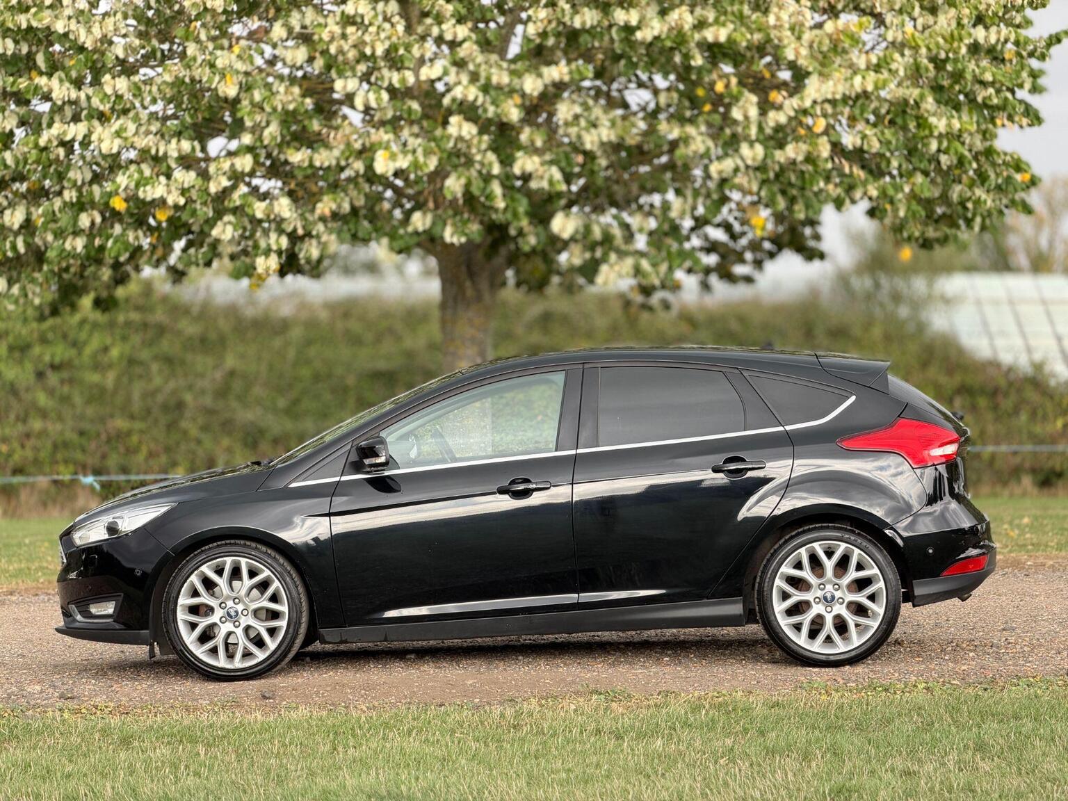 2016 Ford Focus image 13