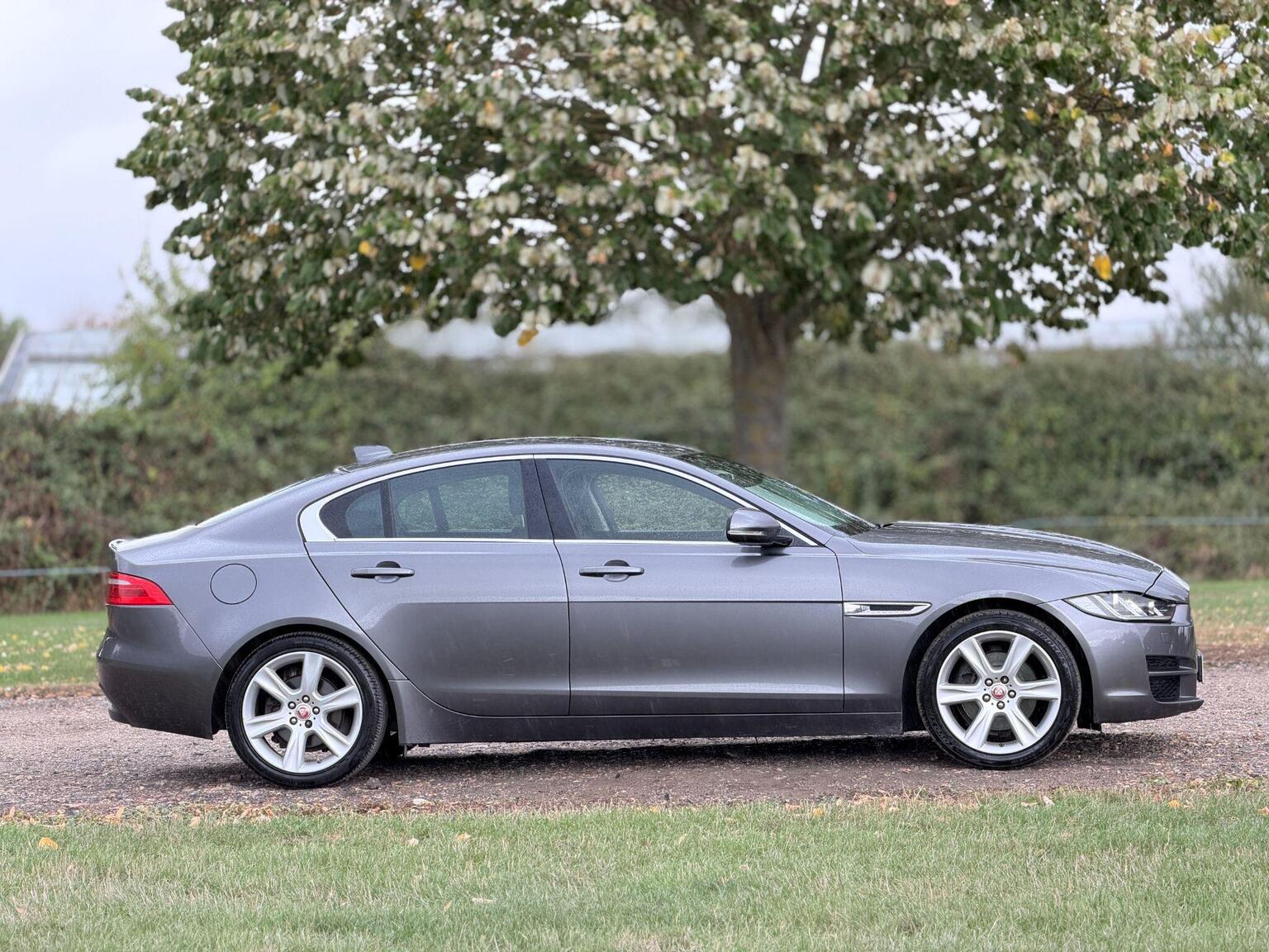 2016 Jaguar XE image 3