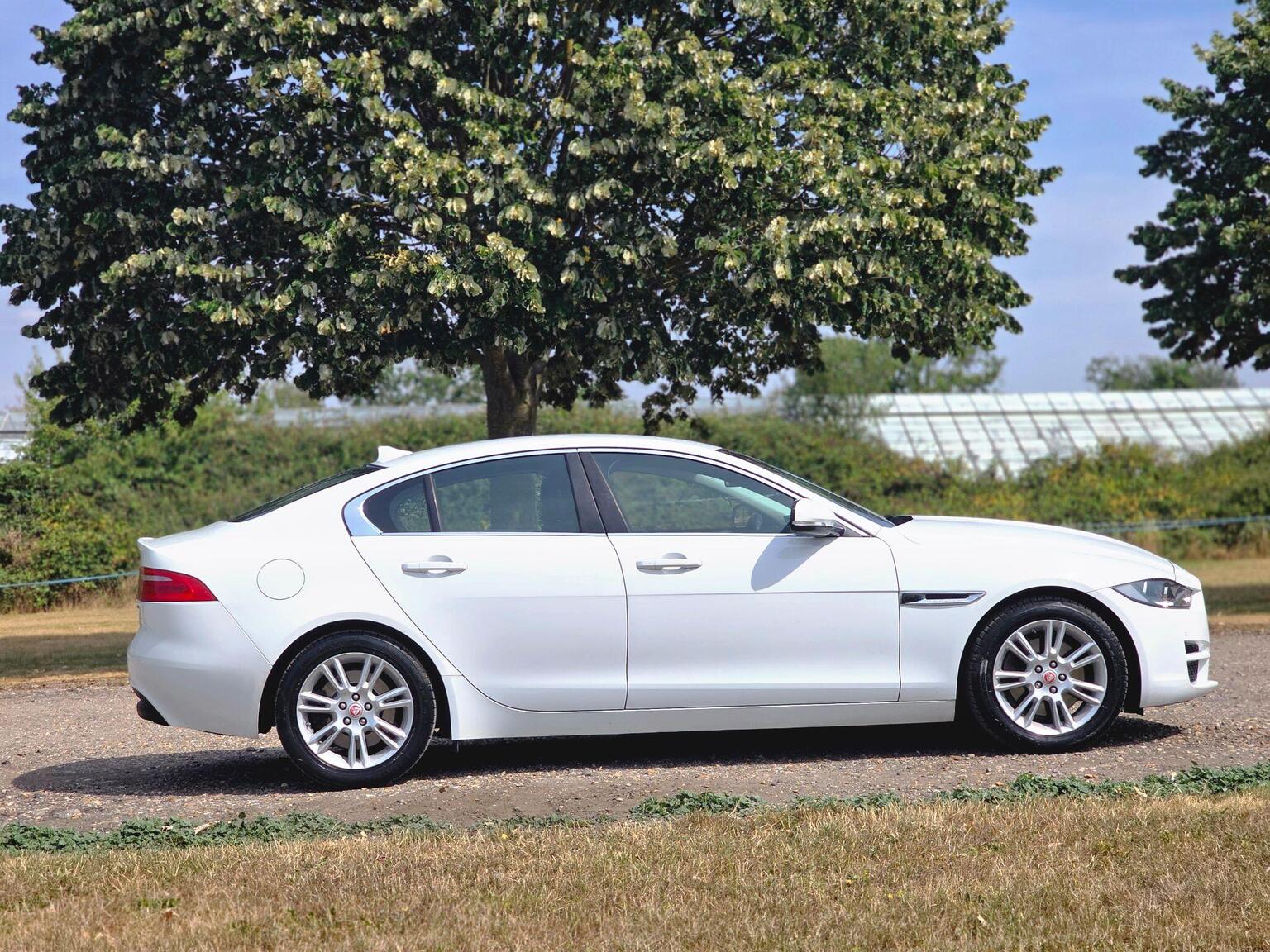 2016 Jaguar XE image 3