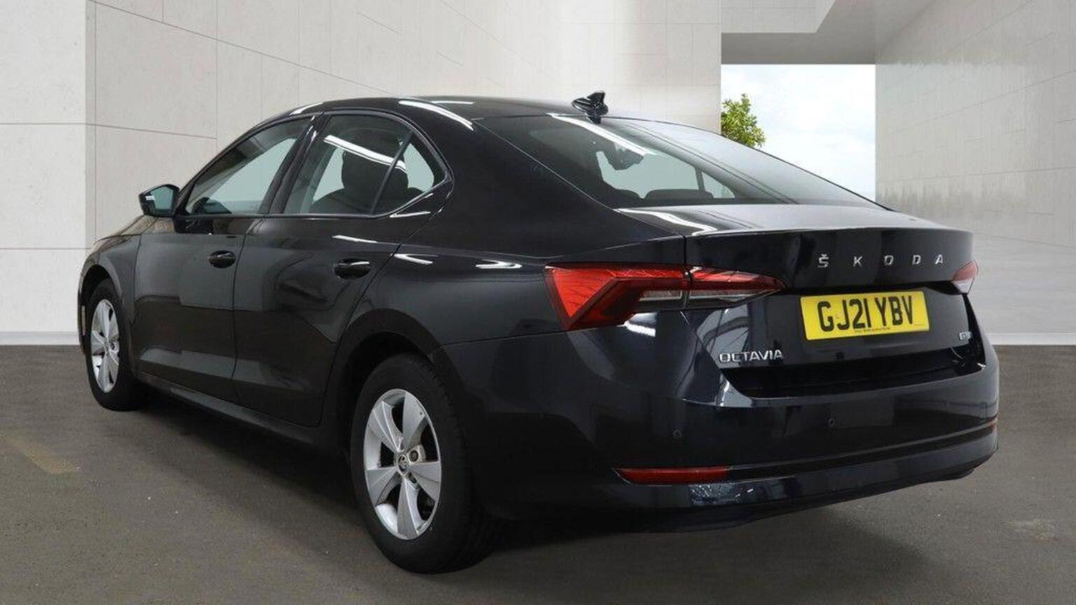 2021 Skoda Octavia image 6