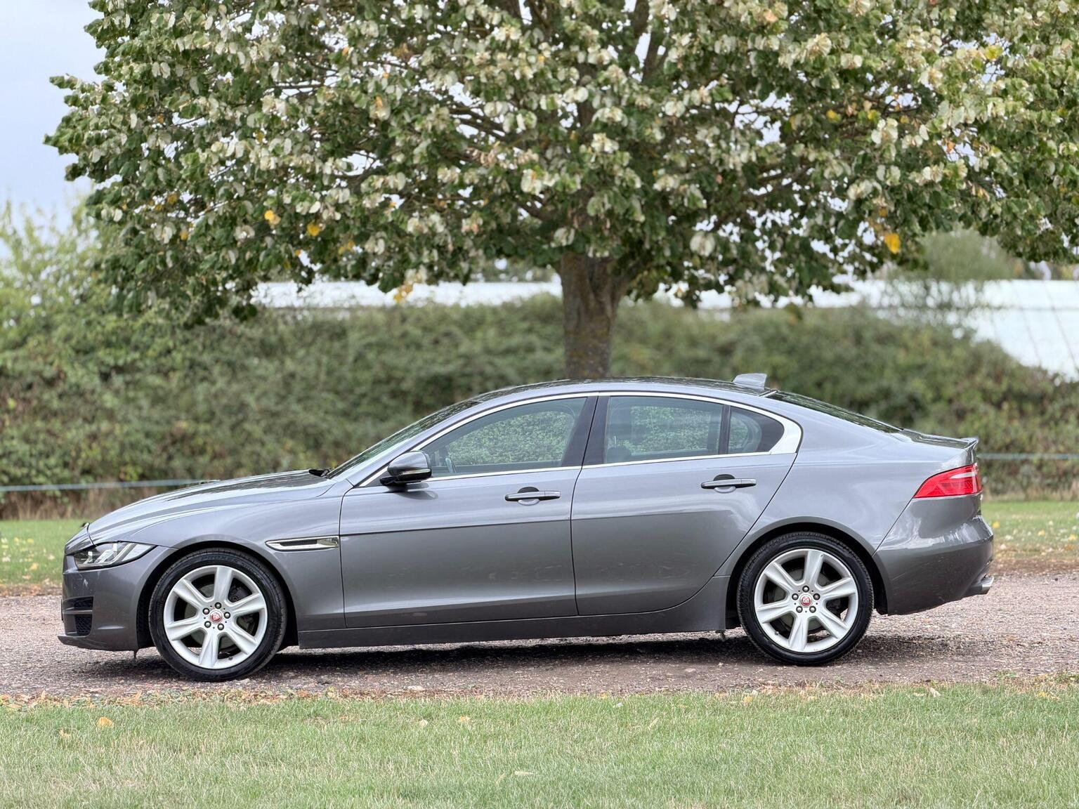 2016 Jaguar XE image 13