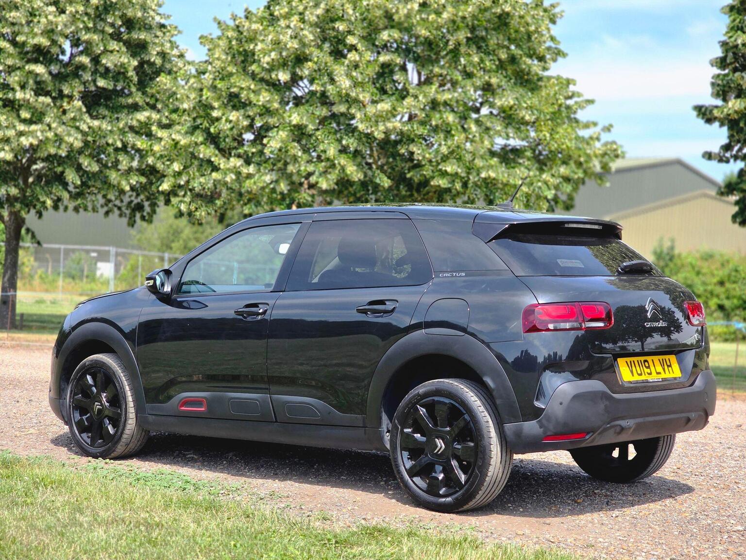 2019 Citroen C4 Cactus image 12