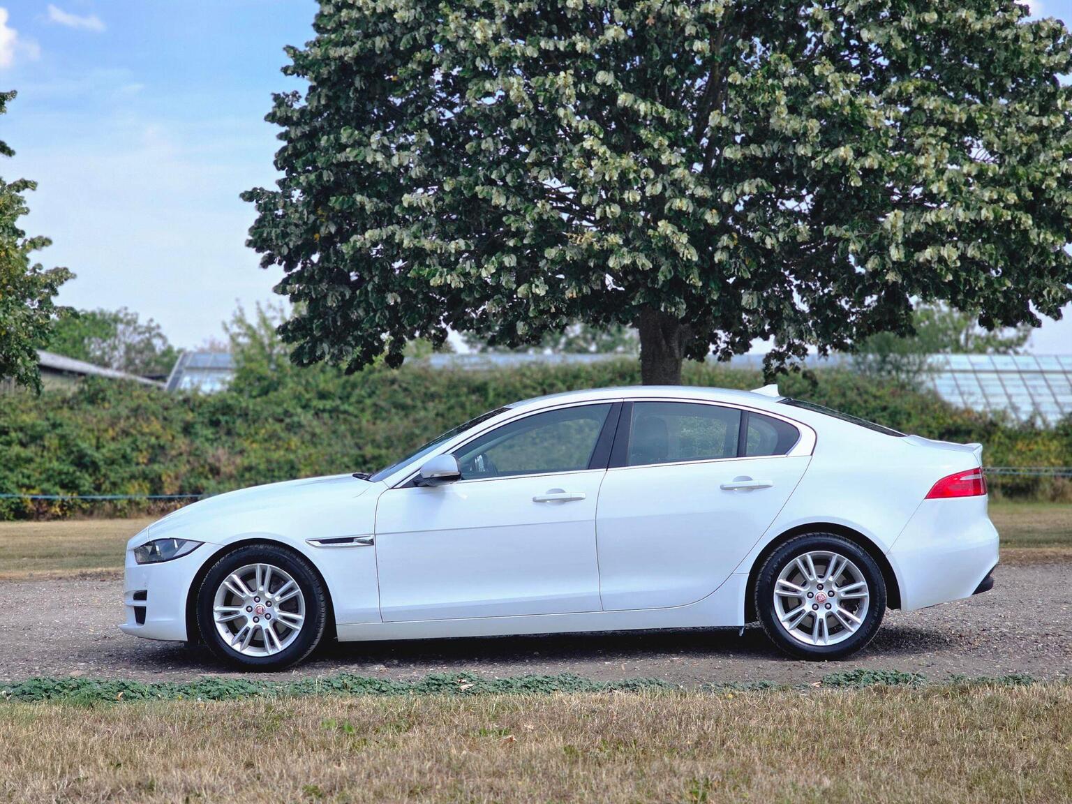 2016 Jaguar XE image 15