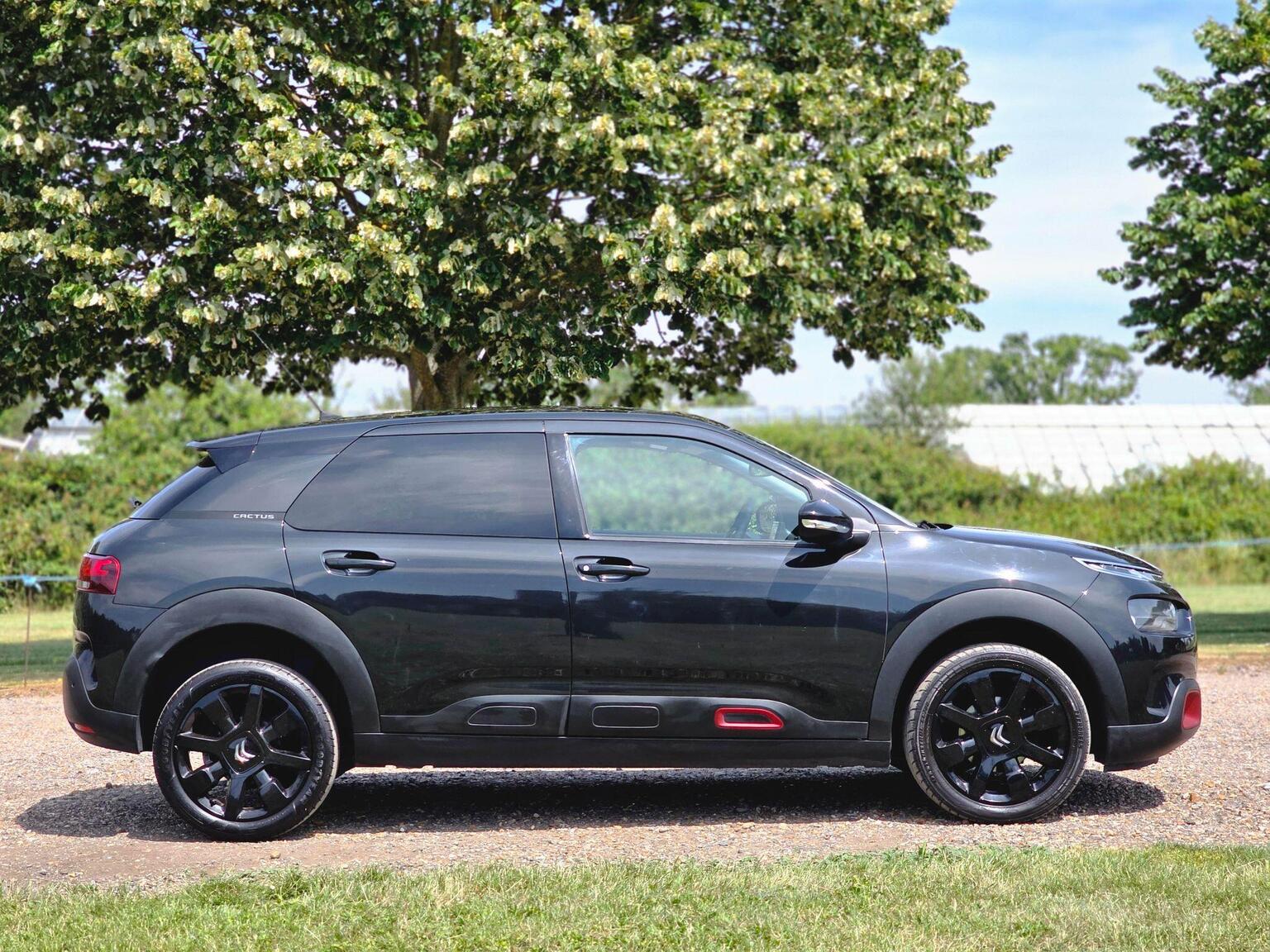 2019 Citroen C4 Cactus image 3