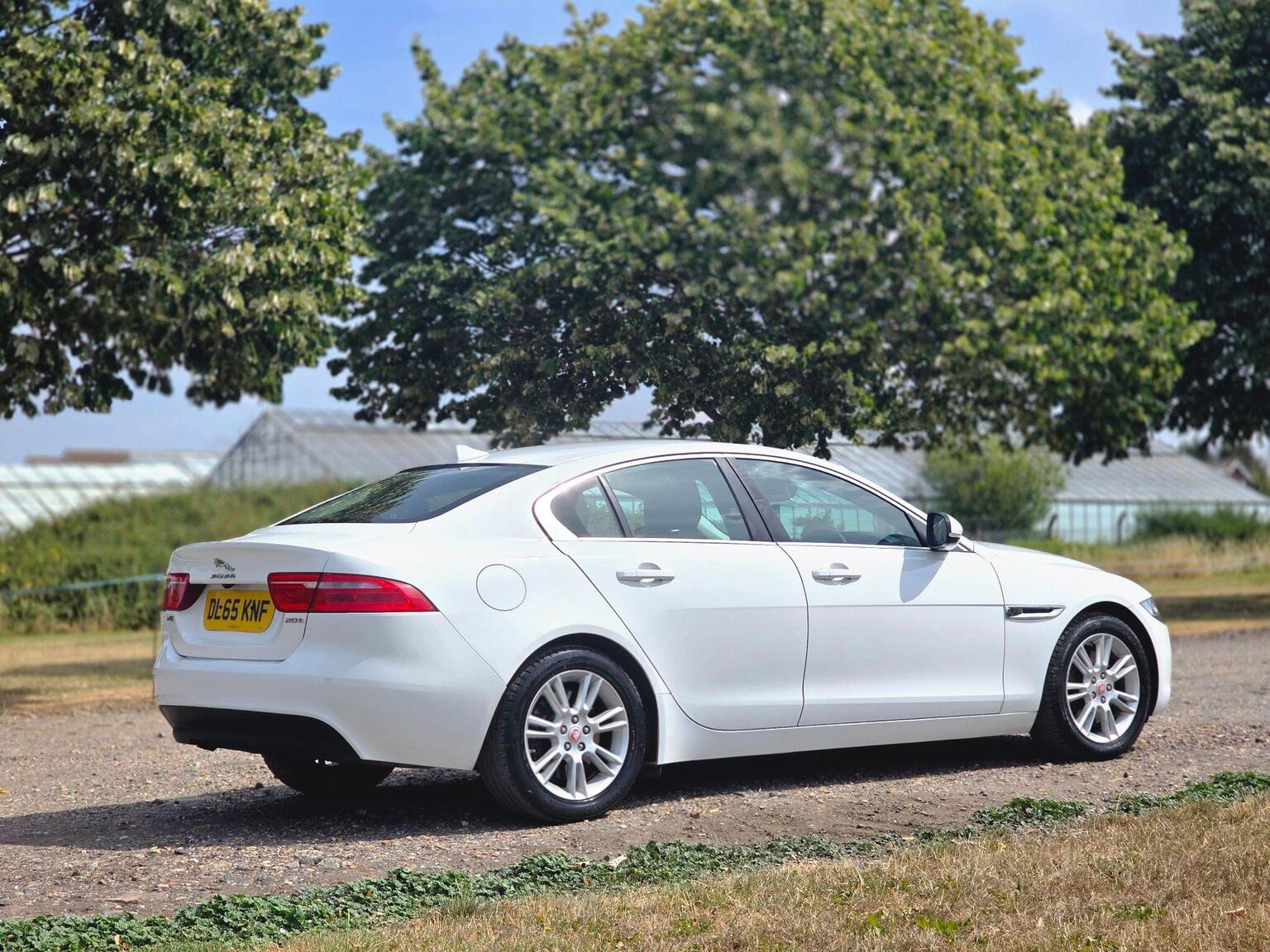 2016 Jaguar XE image 6