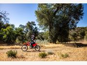 Honda CRF125F