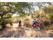 Honda CRF125F
