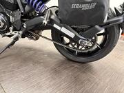 Ducati Scrambler 800
