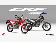 Honda CRF300L