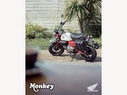 Honda Monkey