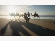 Honda CRF1100L Africa Twin