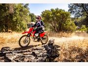 Honda CRF125F