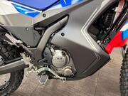 Honda CRF300 Rally