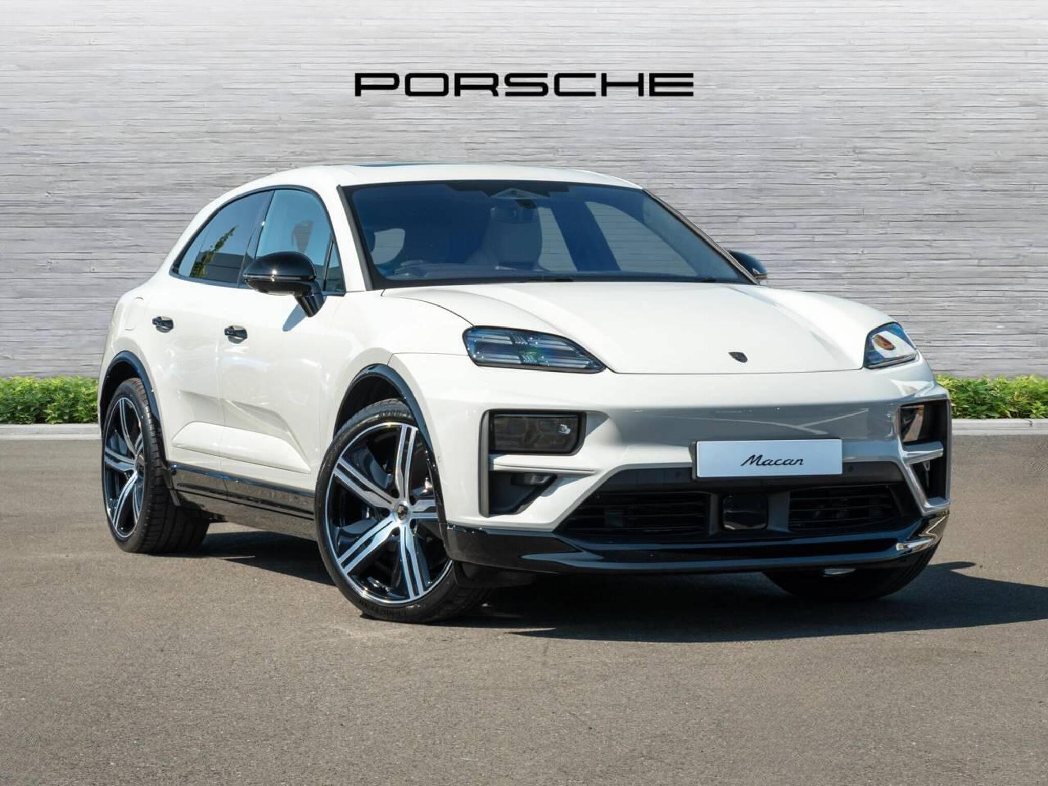 Macan, photo 1 of 50