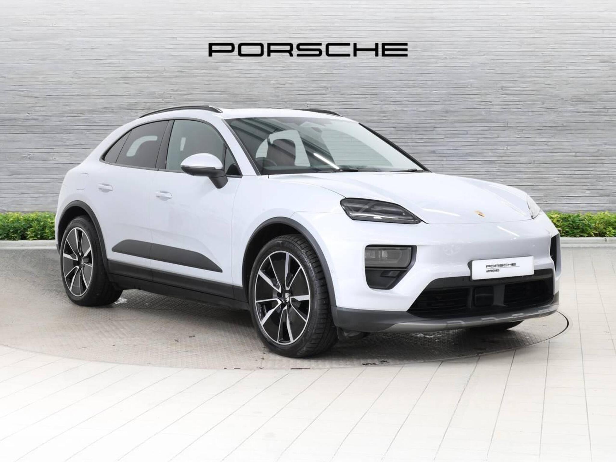 Macan, photo 1 of 47