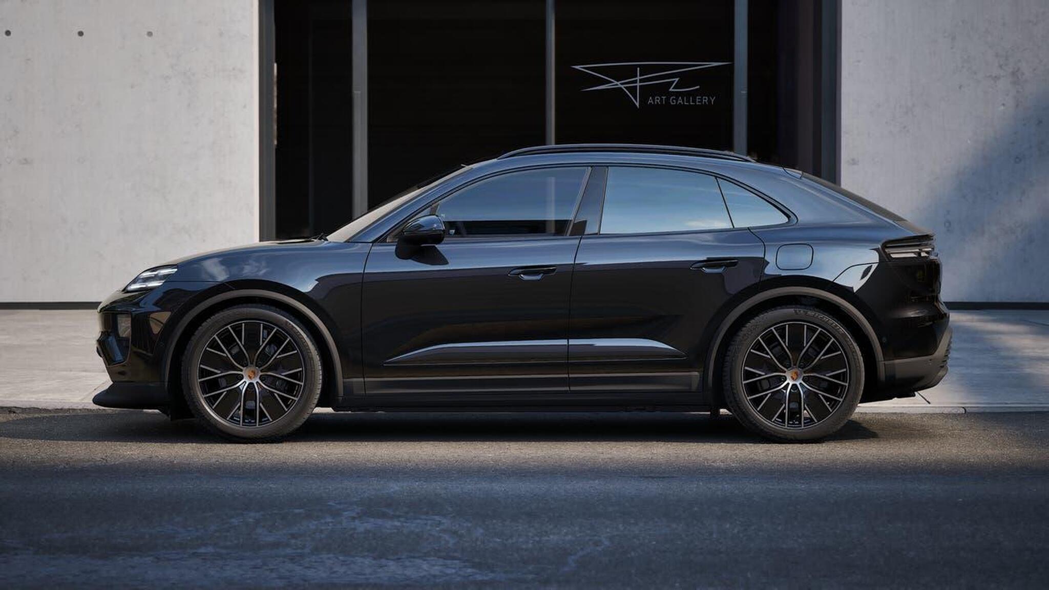 Macan, photo 2 of 14