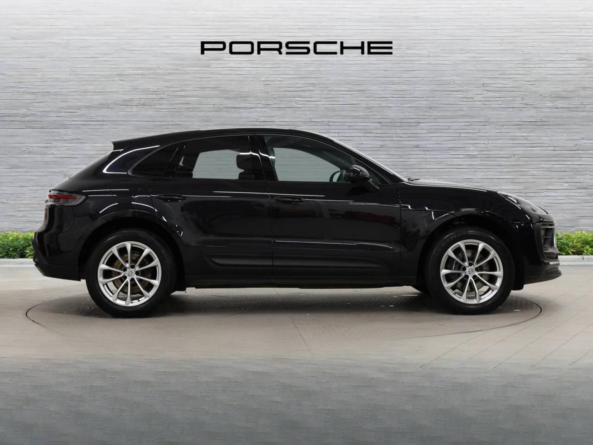 Macan, photo 2 of 39