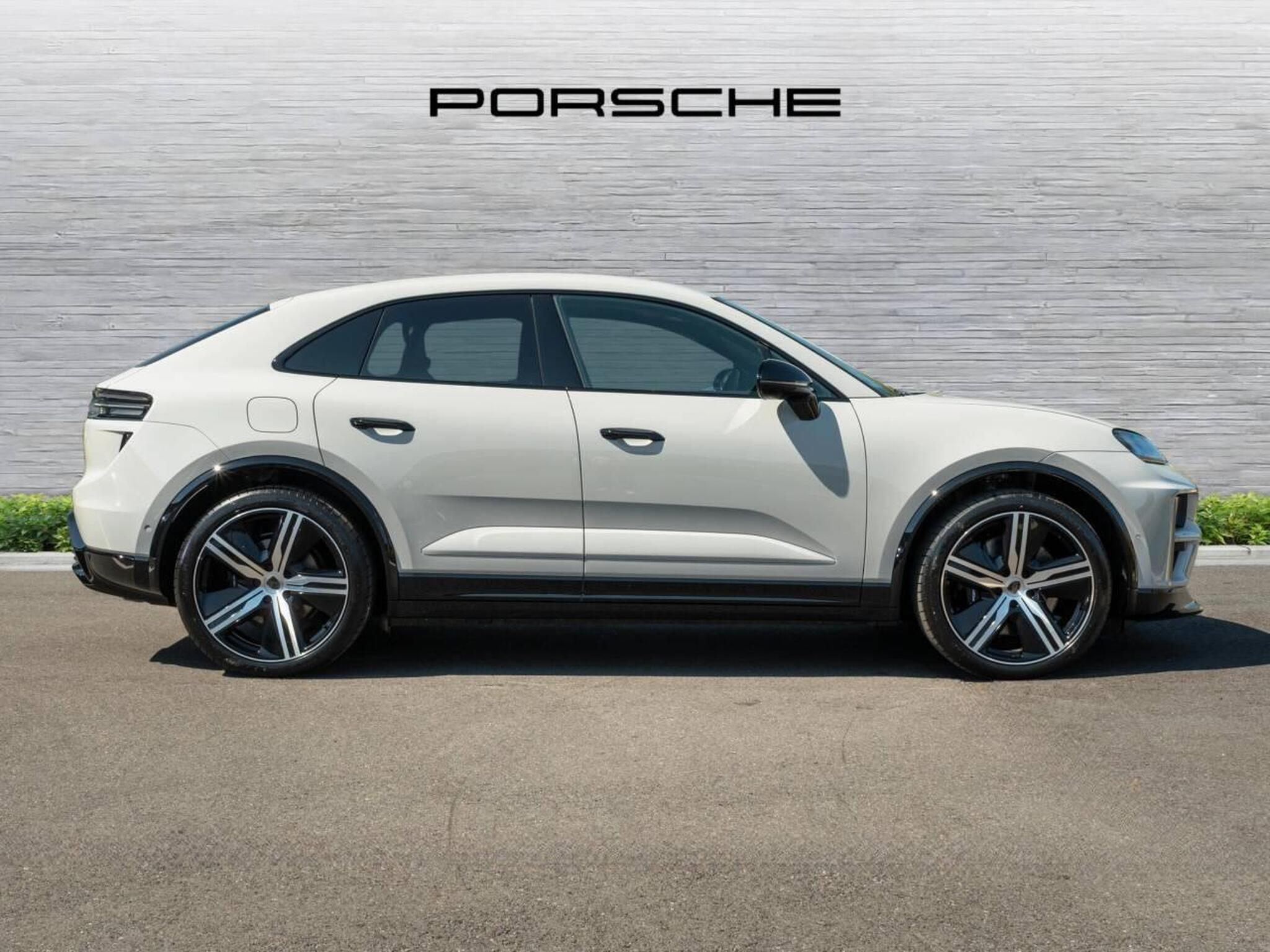 Macan, photo 2 of 50